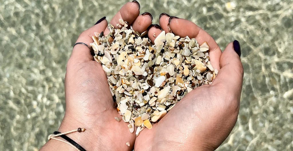 Playa Conchal Shells