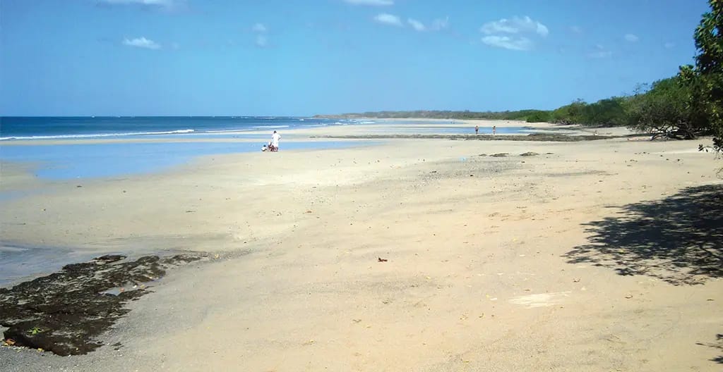Playa Avellanas