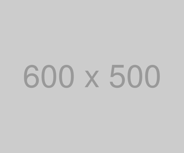 600×500