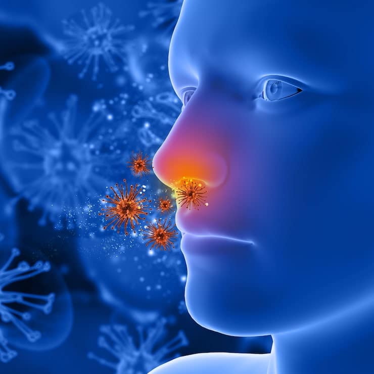 Allergens entering the body through the nasal passages and triggering an immune response.