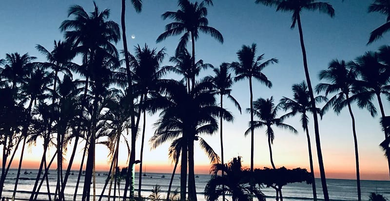 Is Tamarind Expensive?