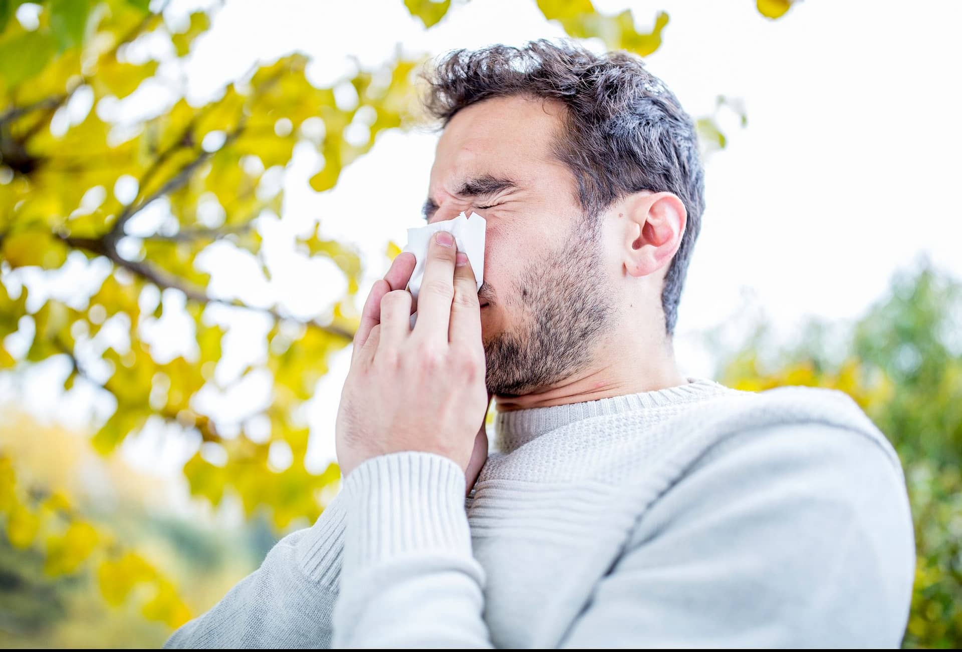 seasonal allergy treatment